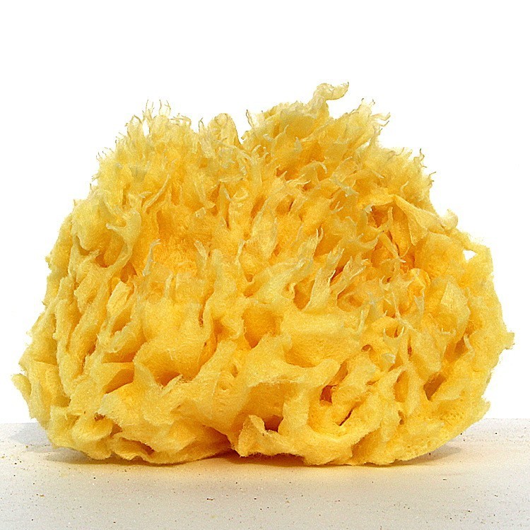 ฟองน้ำธรรมชาติของกรีซสามารถปรับปรุงประสบการณ์การอาบน้ำของคุณได้อย่างไร?